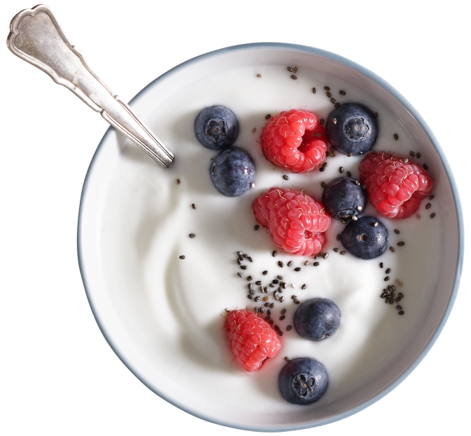 yogurt